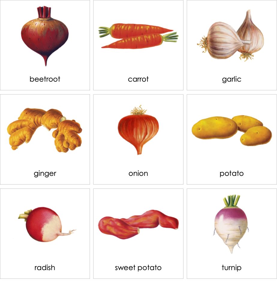 RootVegetables01ENP.jpg