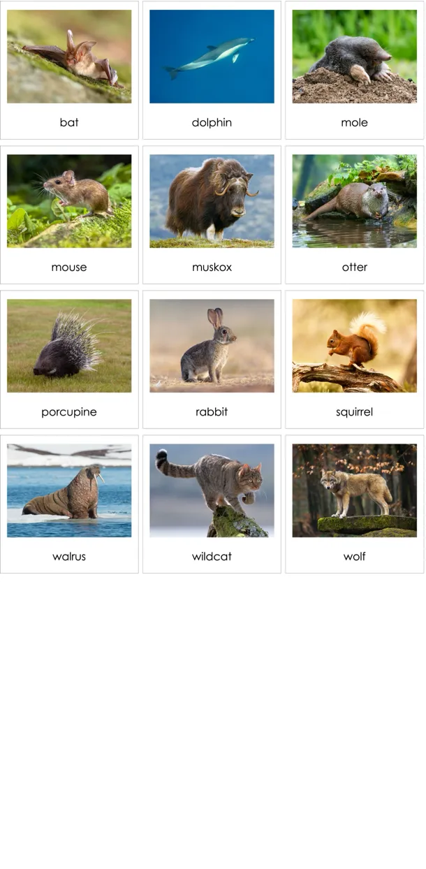 cc265-en-p.webp