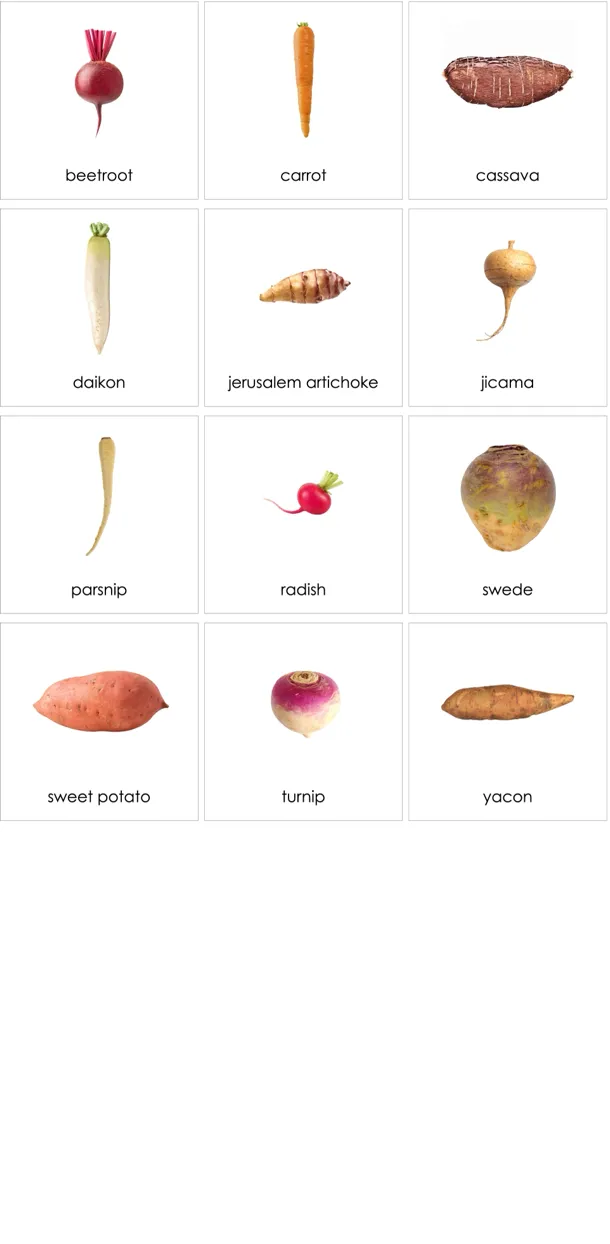 cc268-en-p.webp