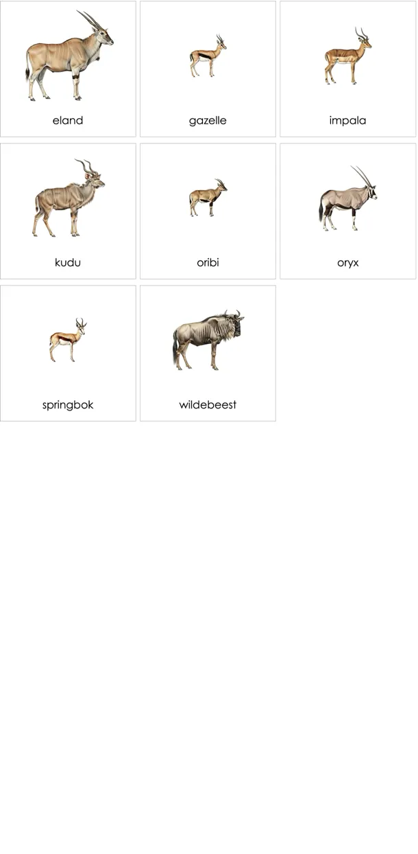 cc279-en-p.webp