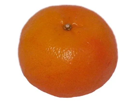 Image of Fruit Selection