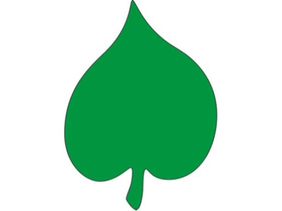 Image of Leaf Shapes