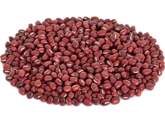 Image of Legumes