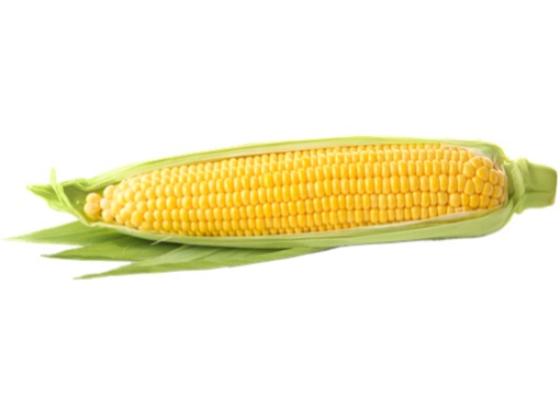 Image of Vegetables 02