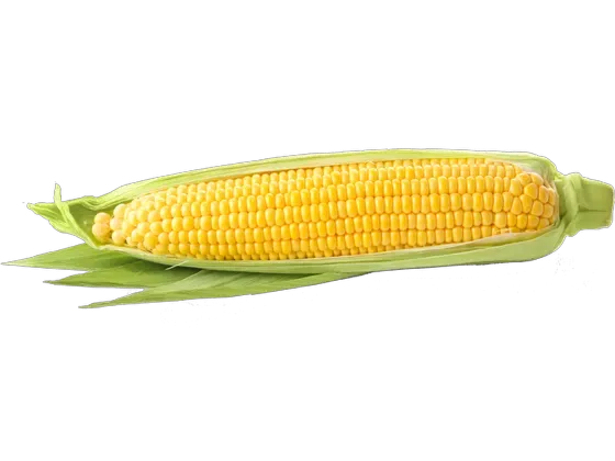 Image of Vegetables Selection