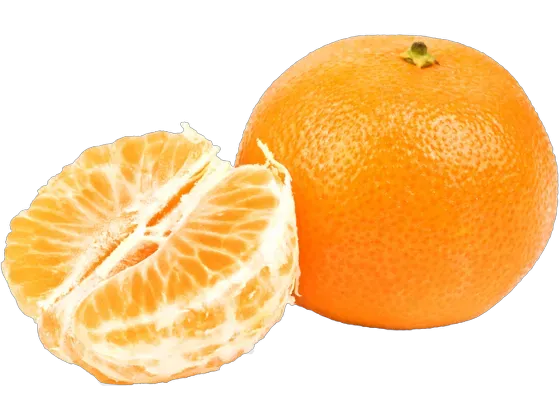 Image of Fruit Citruses