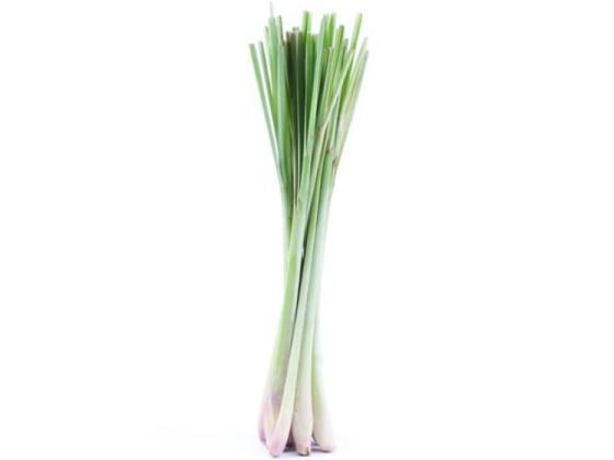 Image of Vegetables Stem