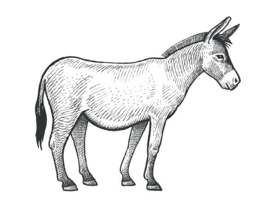 Image of Animals Farm 02