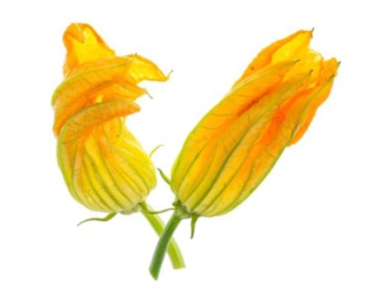 Image of Vegetables Flower