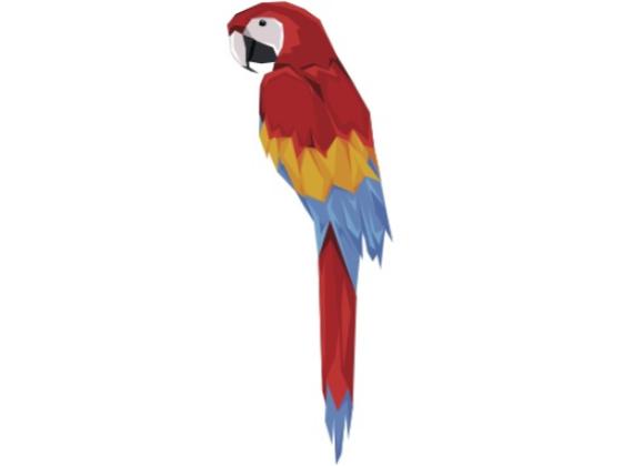 Image of Birds Parrots