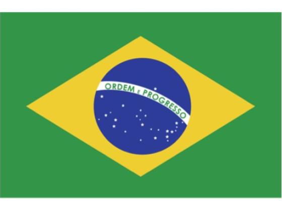 Image of Flags of South American Countries