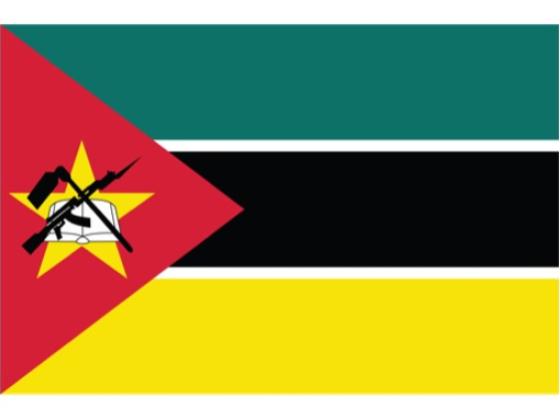 Image of Flags of African Countries 01