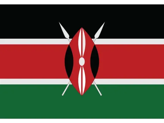 Image of Flags of African Countries C