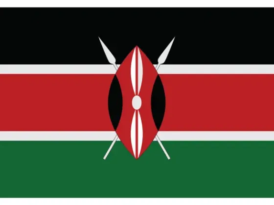Image of Flags of African Countries C