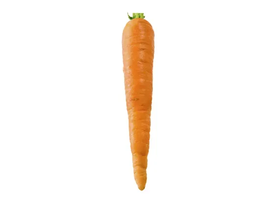 Image of Vegetables Root