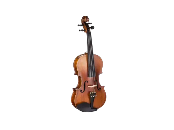 Image of String Instruments