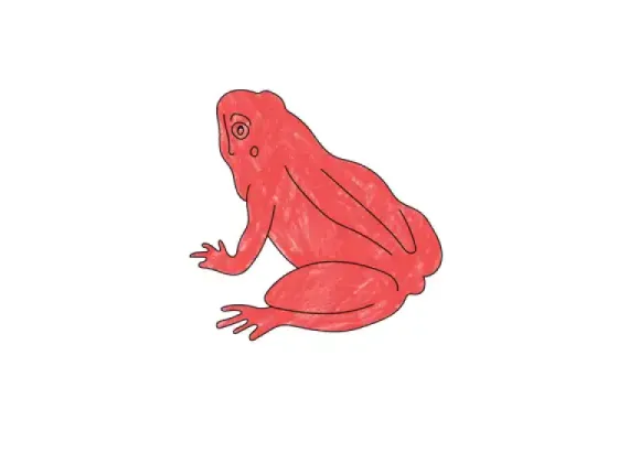 Image of Body Functions of Amphibians