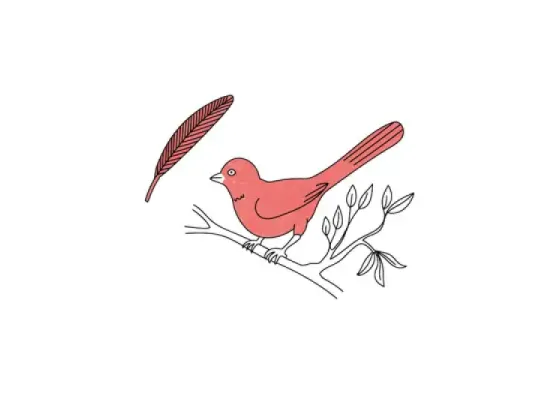 Image of Body Functions of Birds