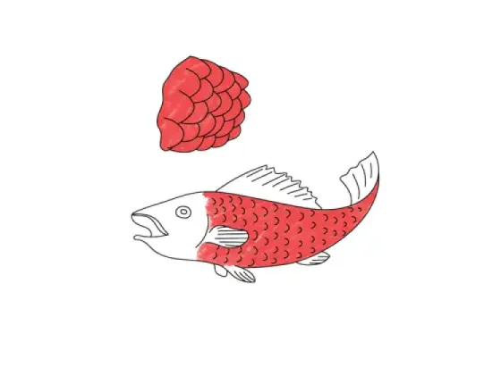 Image of Body Functions of Fish
