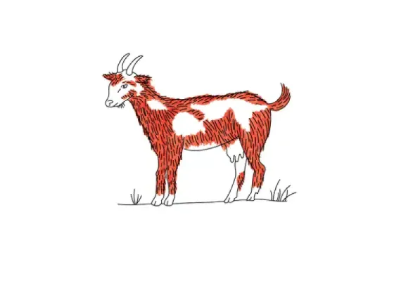 Image of Body Functions of Mammals