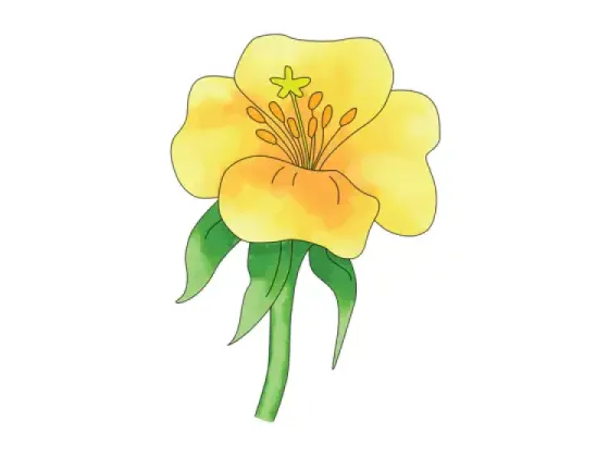 Image of Completeness of the Flower