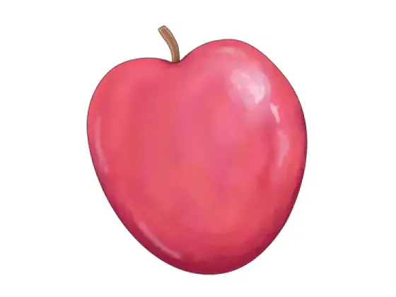 Image of Parts of the Fruit