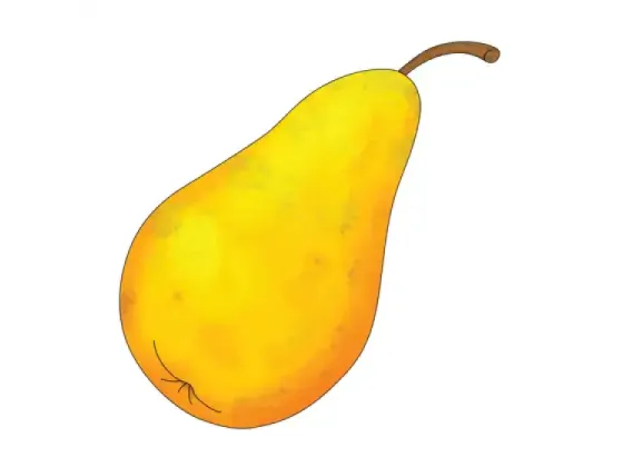 Image of Types of Fruit 1