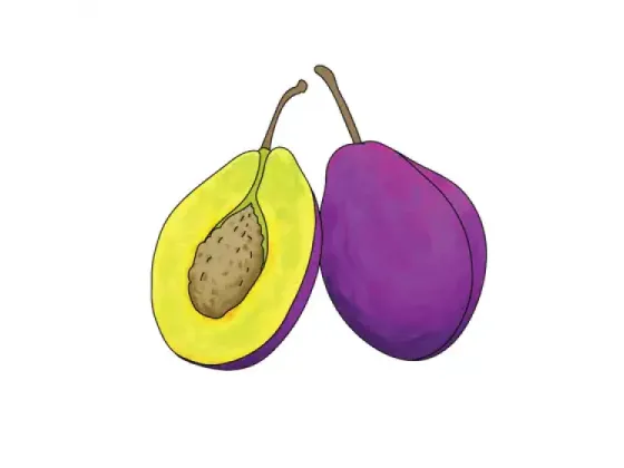 Image of Types of Succulent Fruit