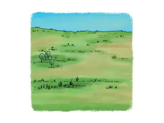 Image of Land Forms 2