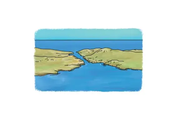 Image of Water Forms