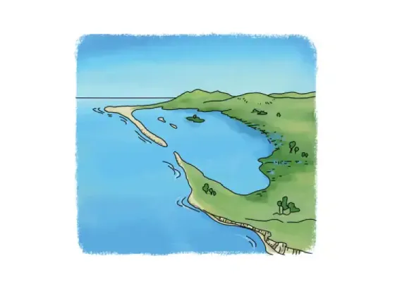 Image of Irregular Coastline