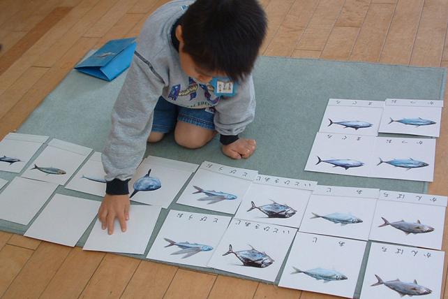 Child using Classified Cards