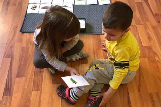 Children using Classified Cards