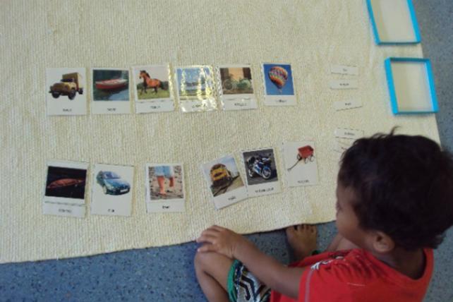 Child using Classified Cards