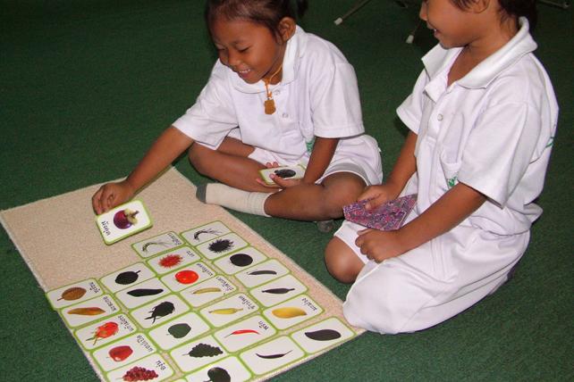 Children using Classified Cards