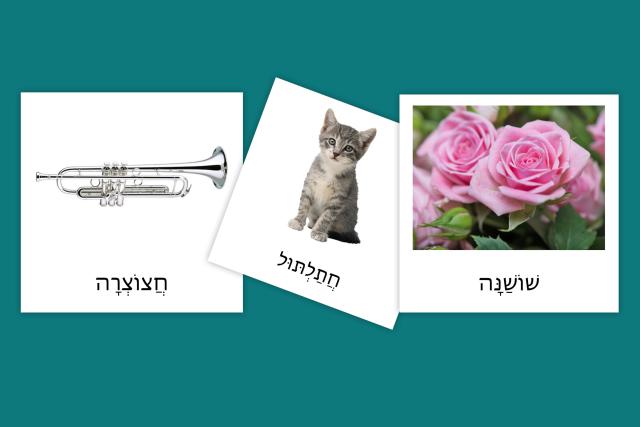 Hebrew Classified Cards