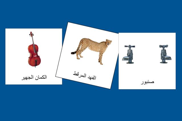 Classified Cards Arabic