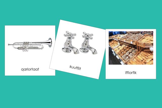 Sample Greenlandic Classified Cards
