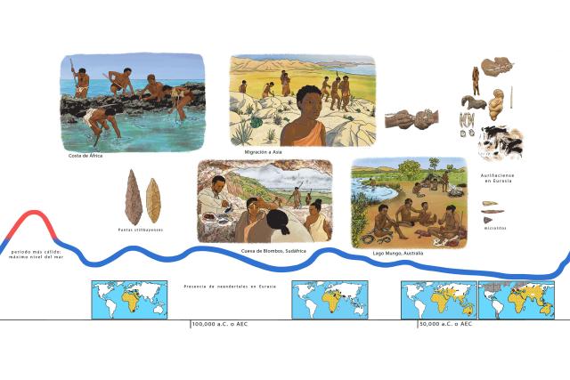 Timeline Humans Spanish