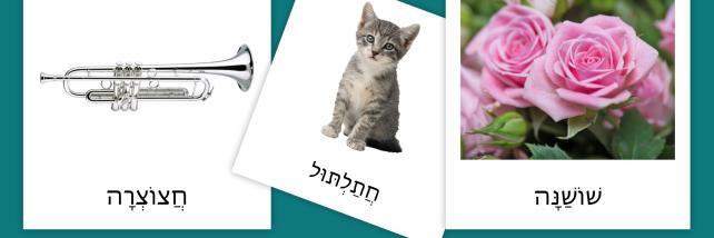 Hebrew Classified Cards