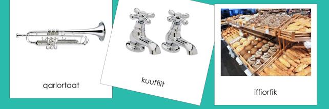 Sample Greenlandic Classified Cards