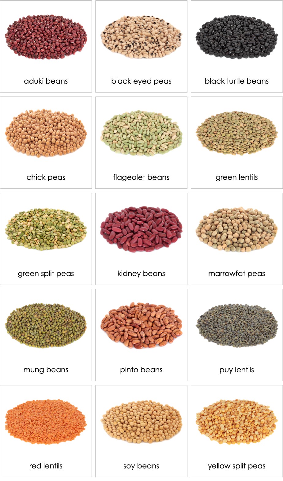 Legumes01ENP.jpg