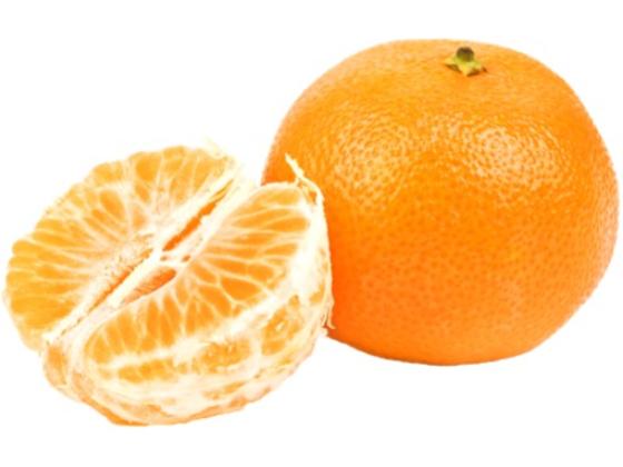 Image of Fruit Citrus 01